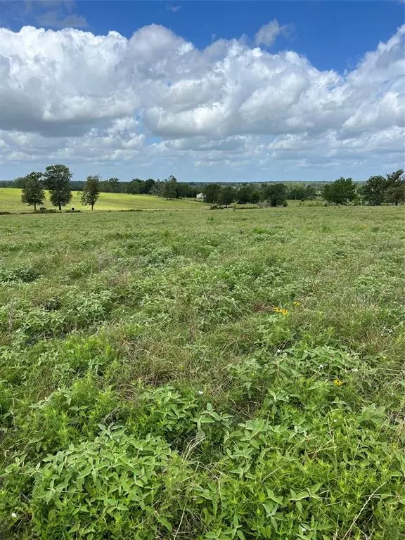 TBD W Tract 2 Sh 21 W, Crockett, TX 75835