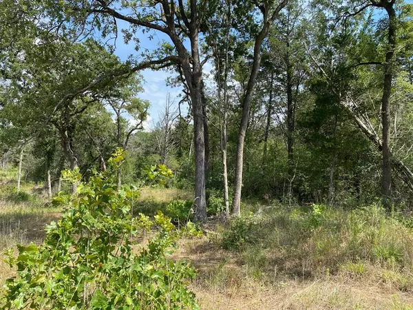 Smithville, TX 78957,TBD High Crossing Road - Tract 6