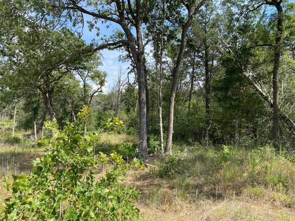 Smithville, TX 78957,TBD High Crossing Road - Tract 6