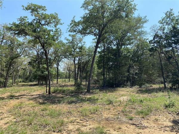 Smithville, TX 78957,TBD High Crossing Road - Tract 6