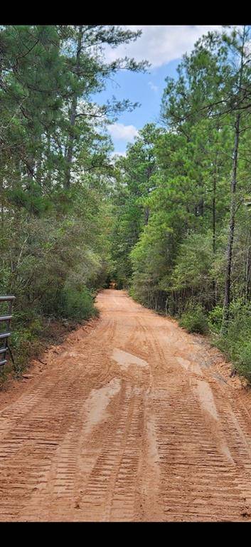 Chester, TX 75936,0 Timber Road 23