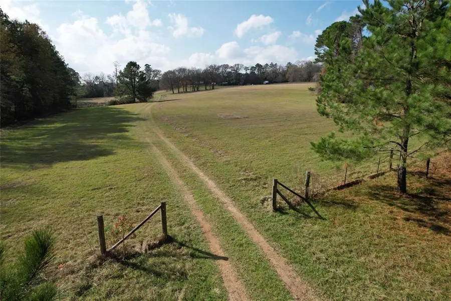 TBD County Rd 1585, Grapeland, TX 75844