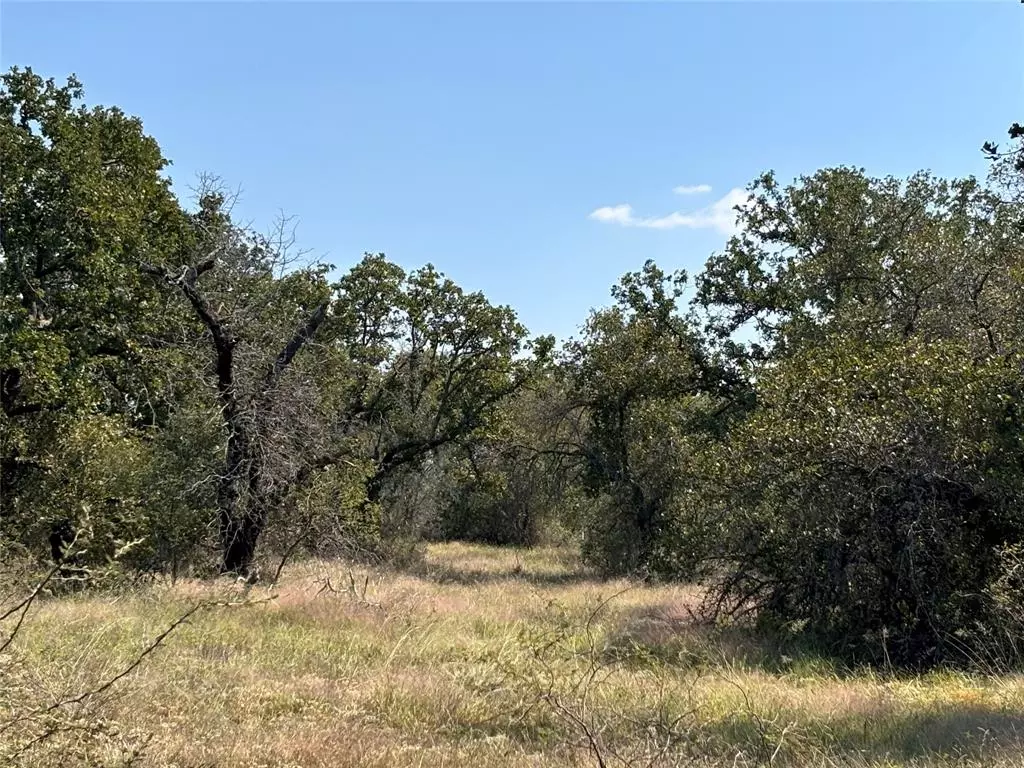 Richland Springs, TX 76871,1603 CR 253