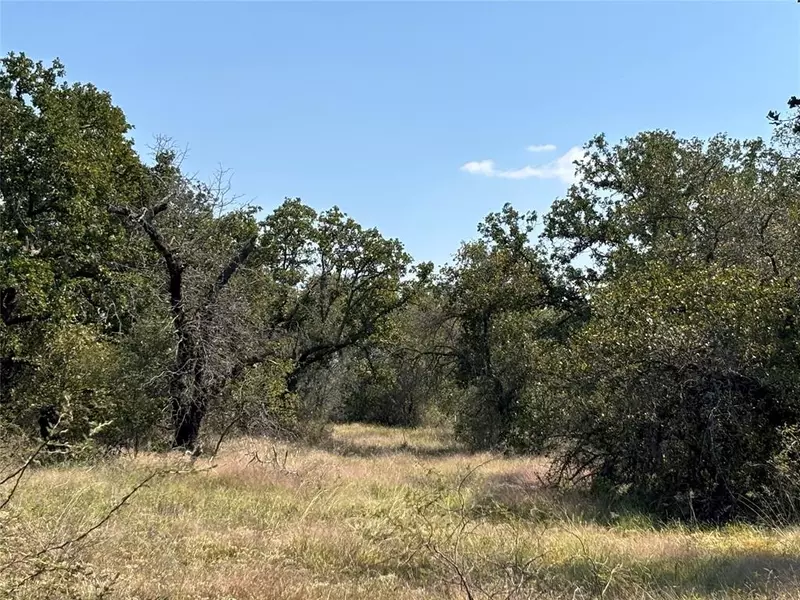 1603 CR 253, Richland Springs, TX 76871