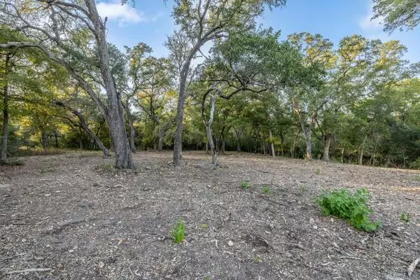 Round Top, TX 78954,TBD Wendy Lane - Lot 21