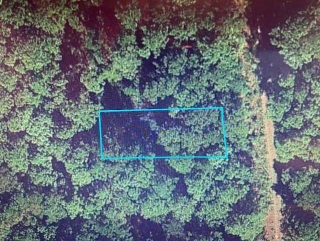 lot 13 Bluebonnet DR, Navasota, TX 77868