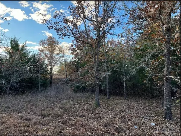 Somerville, TX 77879,TBD Lot 14 Shady Oaks Lane