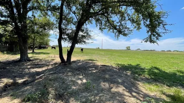 Bremond, TX 76629,TBD FM 2954 -White Rock Rd