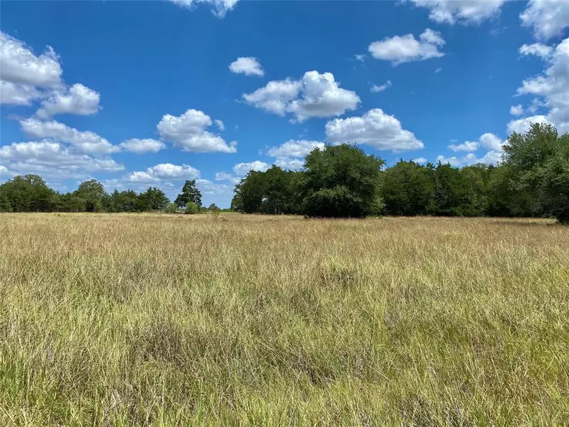 TBD Goehring Rd - Tract 3, Ledbetter, TX 78946