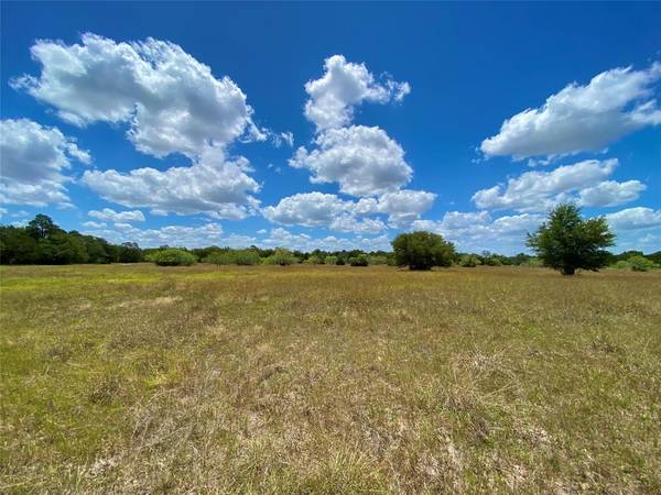 Ledbetter, TX 78946,TBD Goehring Rd - Tract 3