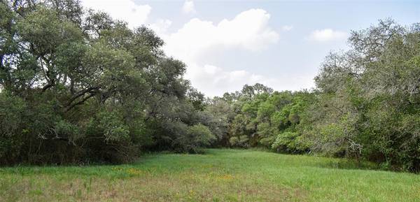 Columbus, TX 78934,TBD County Rd 160 Lot 131