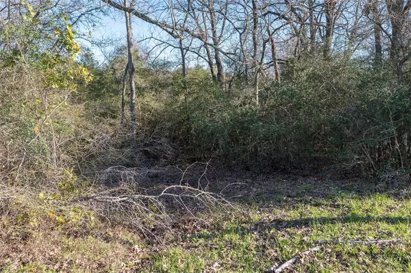 Brenham, TX 77833,0 Old Masonic Road, Lot 1