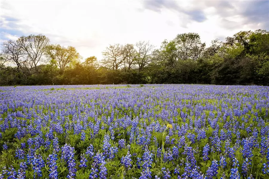 0 Old Masonic Road, Lot 1, Brenham, TX 77833