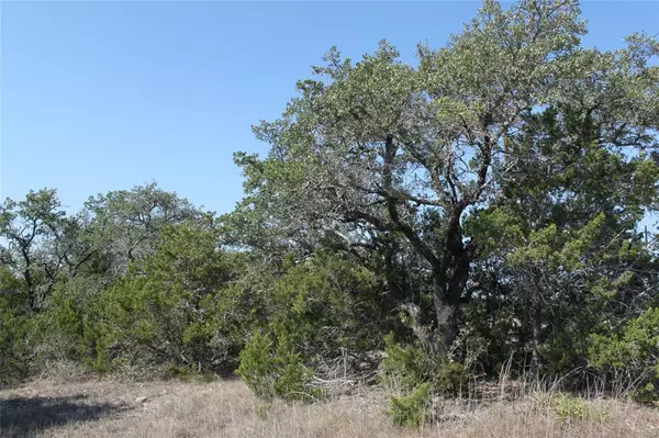 Spring Branch, TX 78070,364 Ridge Point