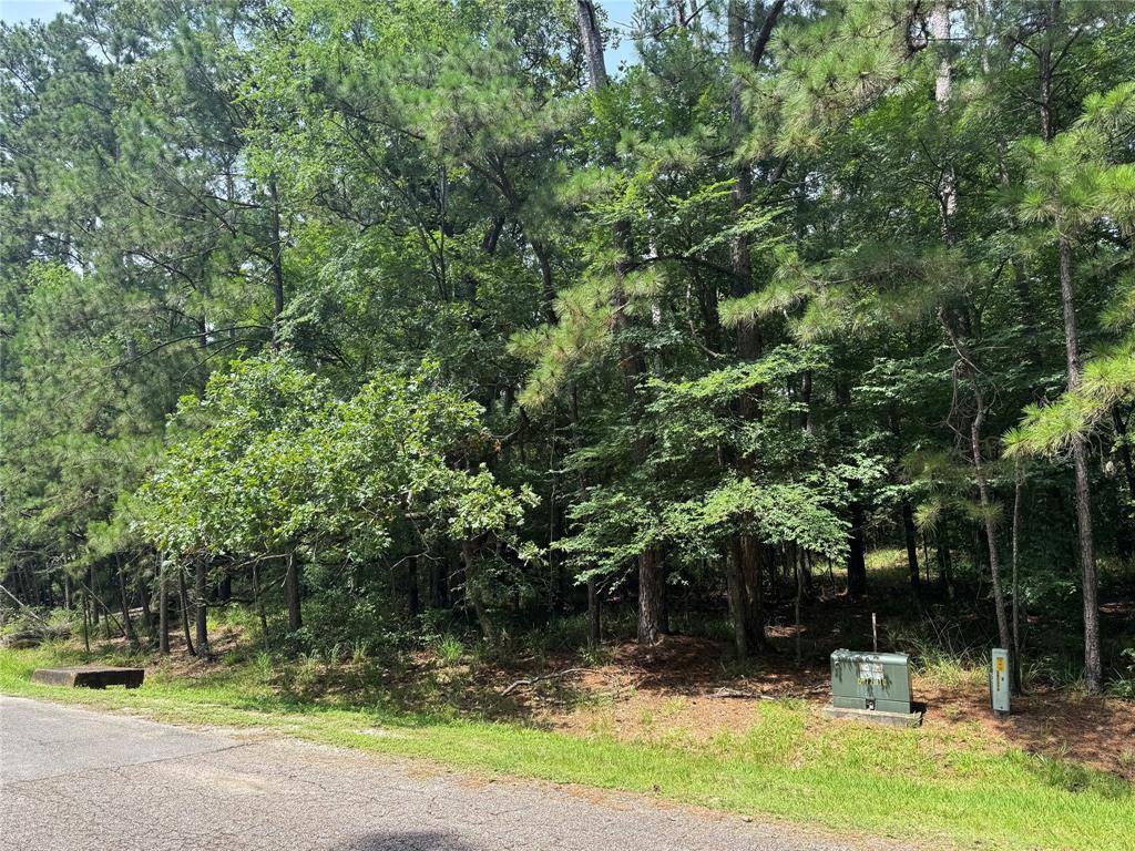 75 Green Tree DR, Coldspring, TX 77331