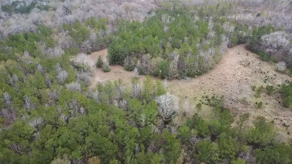 Woodville, TX 75979,TBD 20+/- Acres HWY 190 East