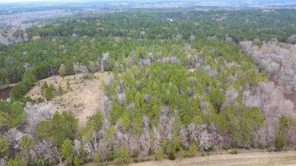 TBD 20+/- Acres HWY 190 East, Woodville, TX 75979