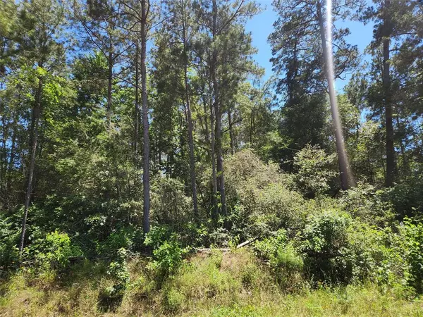 Plantersville, TX 77363,Lot 3 Coral Bean LN