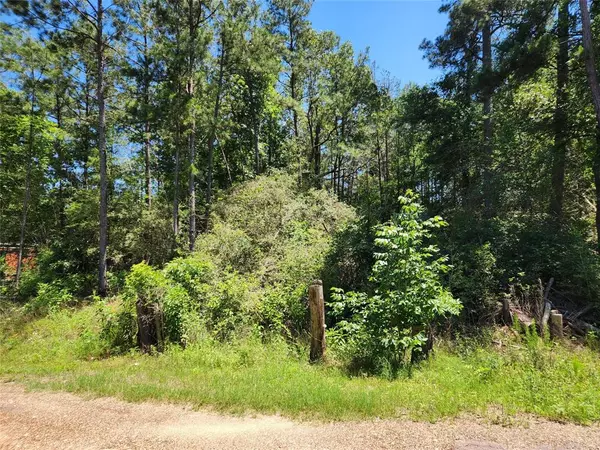 Plantersville, TX 77363,Lot 3 Coral Bean LN