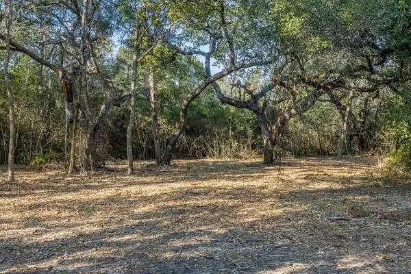 Round Top, TX 78954,TBD Drake Lane - Lot 7