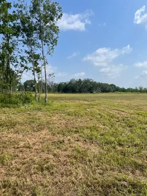 Angleton, TX 77515,00 HWY 288B