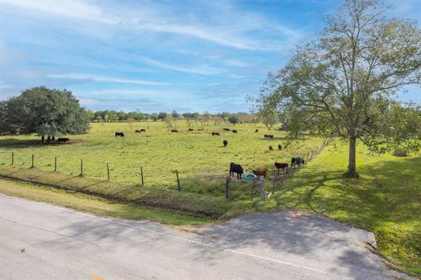 TBD Gum Gully RD, Crosby, TX 77532