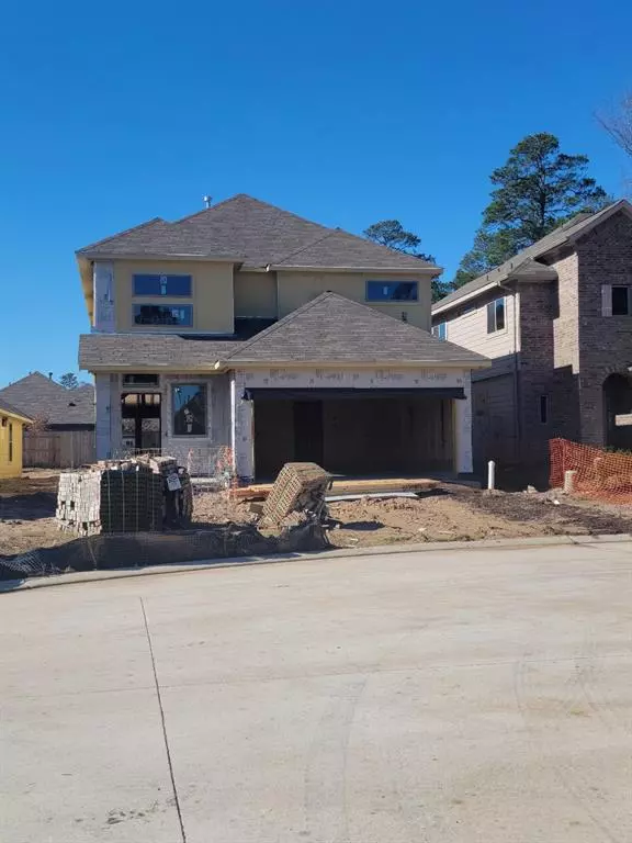 Conroe, TX 77385,2739 Meadow View LN