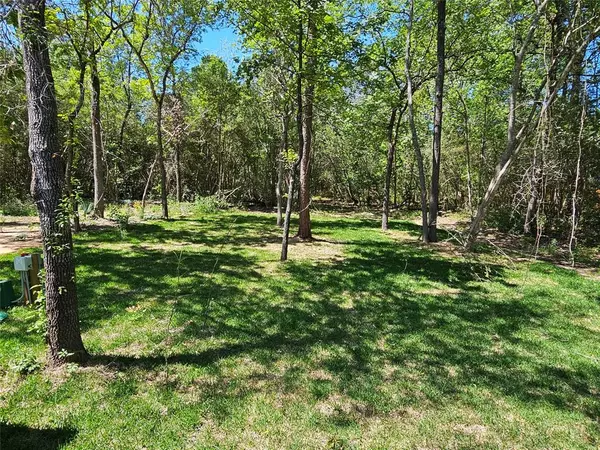 14942 Colt Ln, Willis, TX 77378