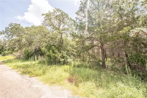 Somerville, TX 77879,Lot 92 Lois Lane ST