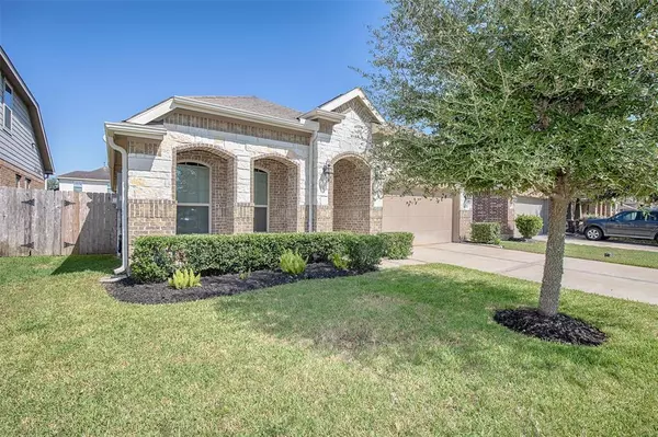 Dickinson, TX 77539,3040 Coreopsis CT