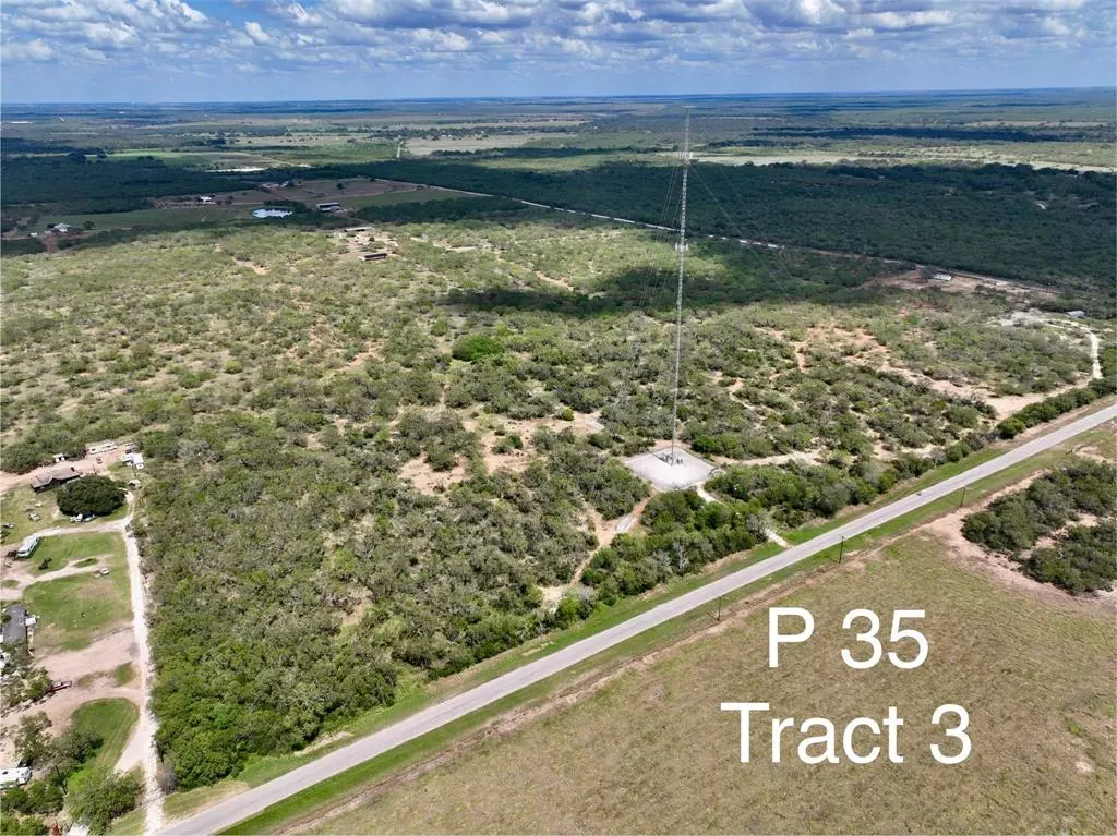 Pleasanton, TX 78064,Tract 3 LEAL RD