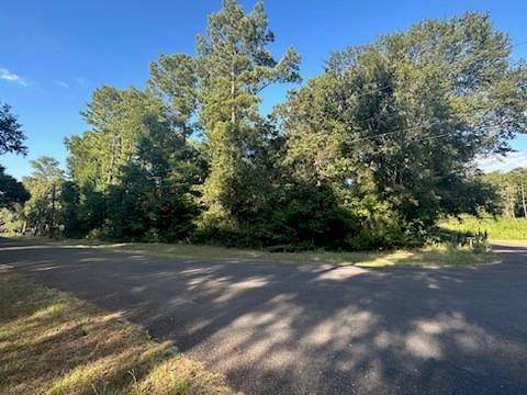 TBD W Hollyhill DR, Plantersville, TX 77363