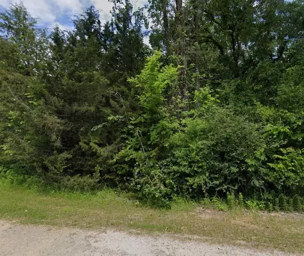 Coldspring, TX 77331,Lot 73A Cedar Valley DR