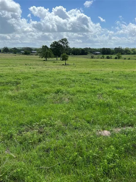 Crockett, TX 75835,TBD W Tract 4 W Sh 21