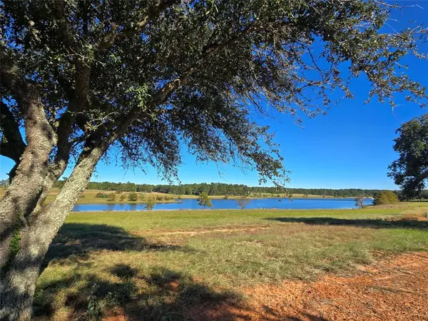 Hillister, TX 77624,Lot 103 Lakeland RD