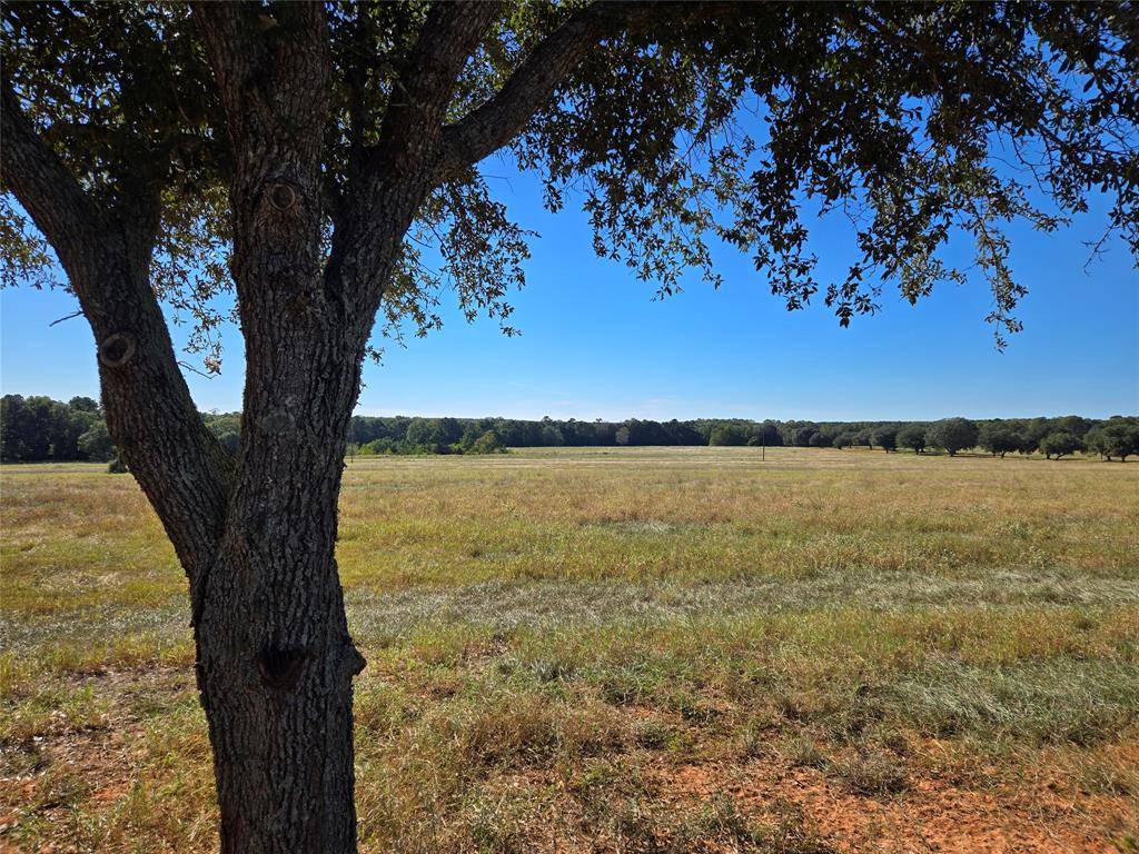 Lot 103 Lakeland RD, Hillister, TX 77624