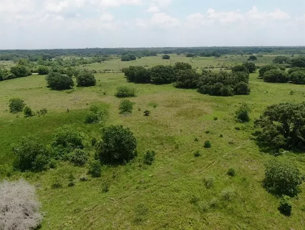 Damon, TX 77430,TBD County Rd 25