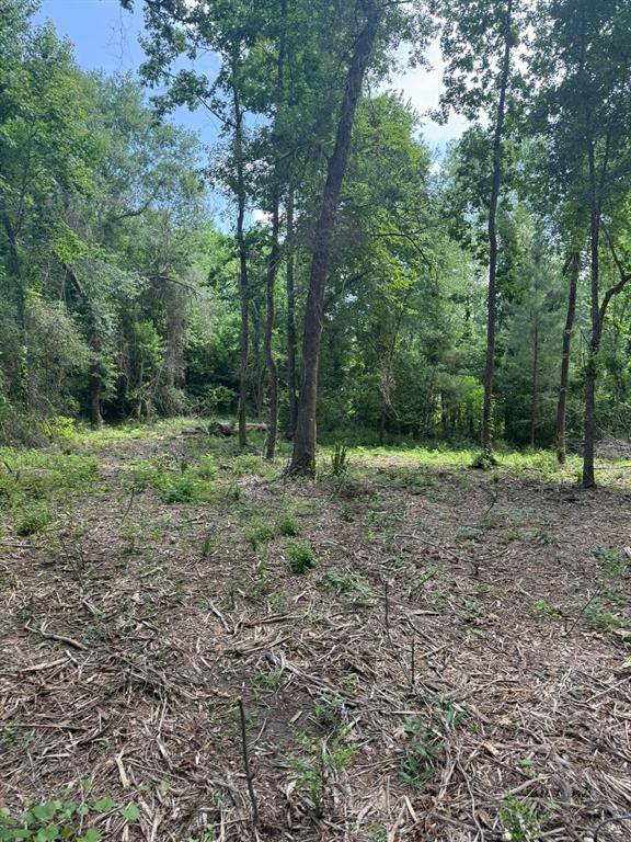 0 Paradise Point DR, Willis, TX 77318