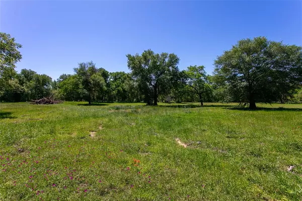 Caldwell, TX 77836,Lot 2B Brazos Court