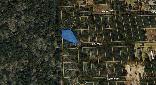 Lot 28 Gum Tree LN, Plantersville, TX 77363