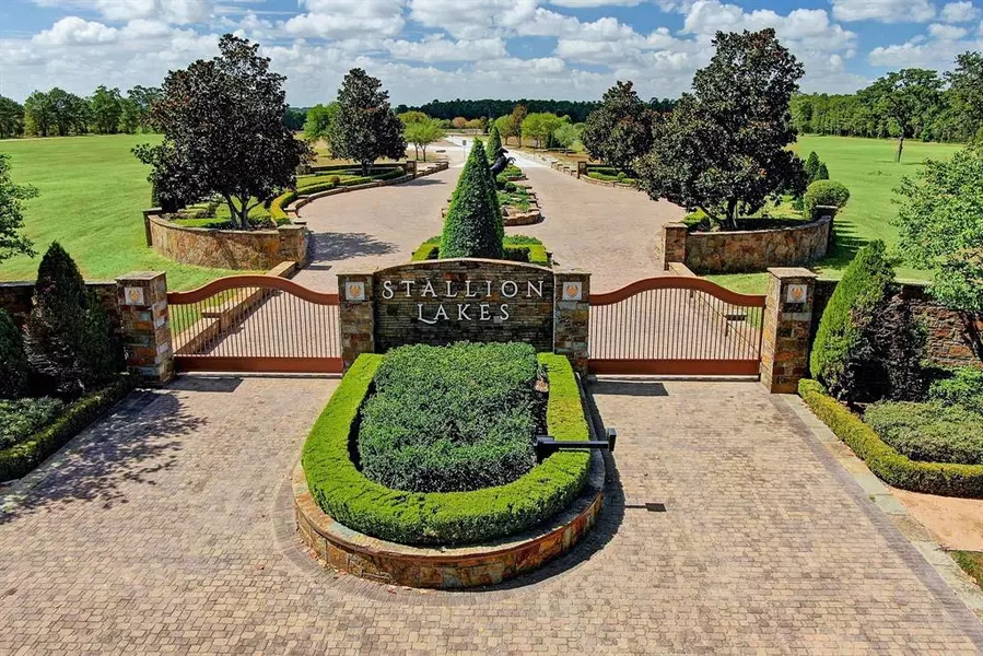 2306 Iris Cove CT, Hockley, TX 77447