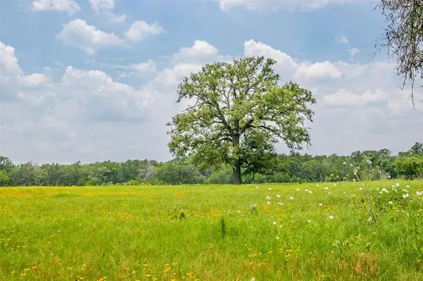 Somerville, TX 77879,Lot 31 (5.42 Acres) Legacy RD