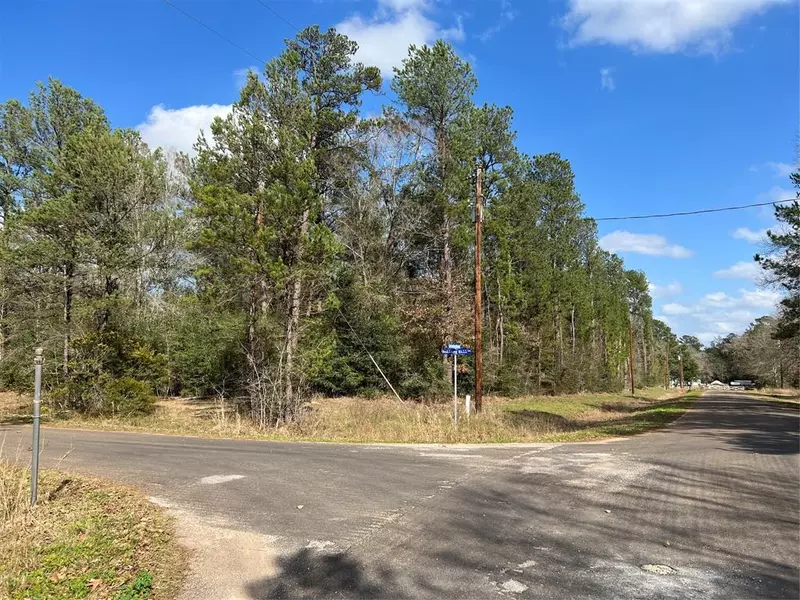 TBD Carlton Speed Ranch RD, Waller, TX 77484