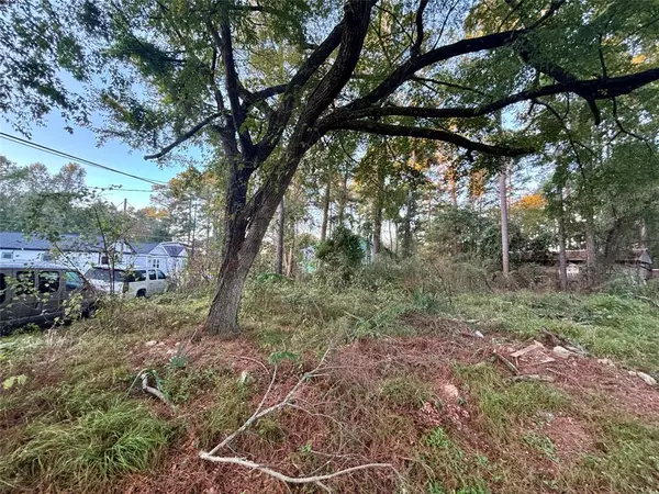 Willis, TX 77318,Lot 1 Walkwood DR