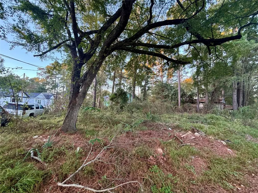 Willis, TX 77318,Lot 1 Walkwood DR