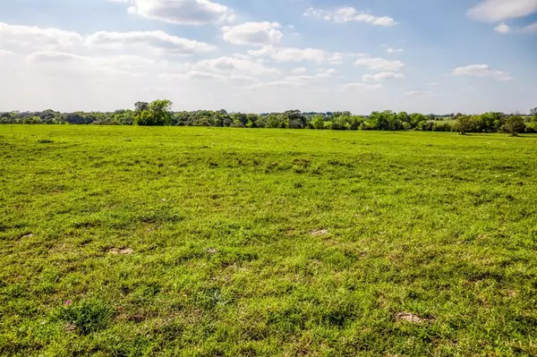 New Ulm, TX 78950,000 FM 1291 Tract 2D