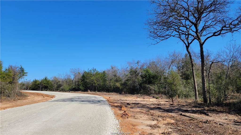 Franklin, TX 77856,LOT 23 High Meadow Trail