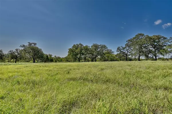 Red Rock, TX 78662,1-24 (2 acres) Starlight Path