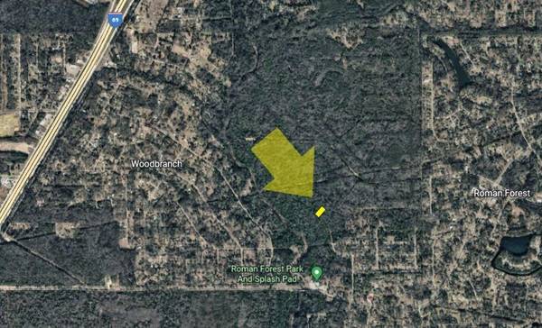 Woodbranch, TX 77357,- -