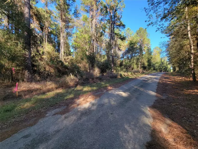 0 County Road 2125, Cleveland, TX 77327